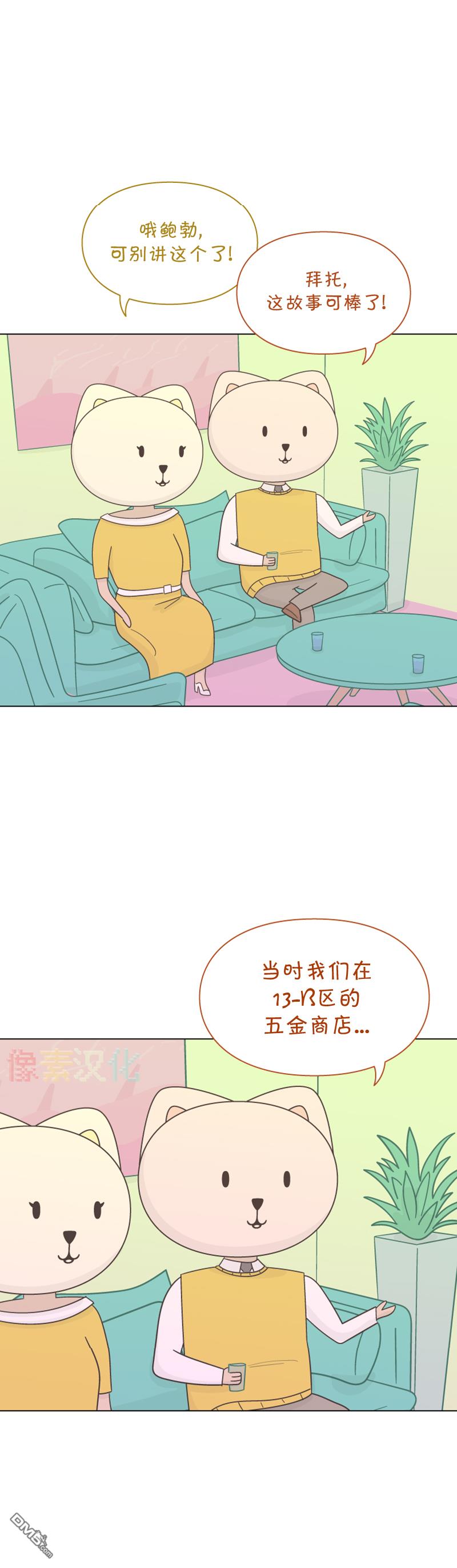 17.jpg