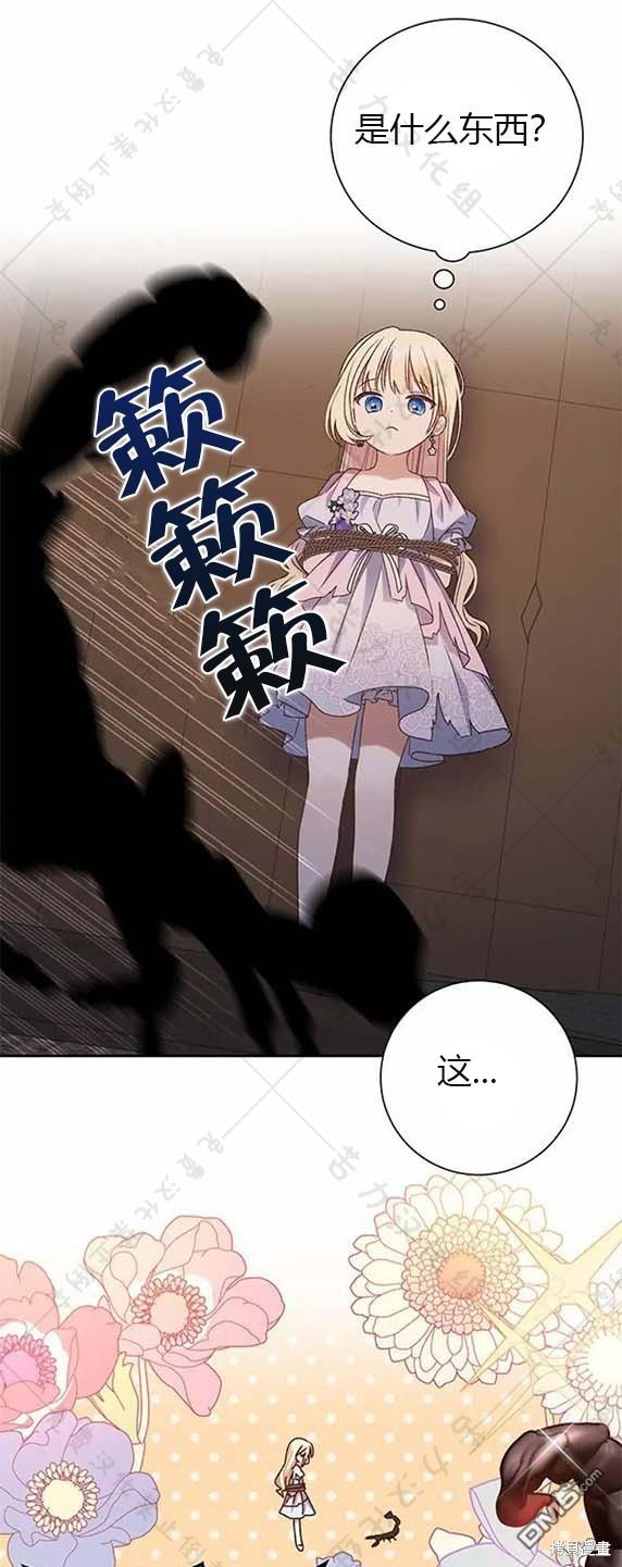 51.jpg
