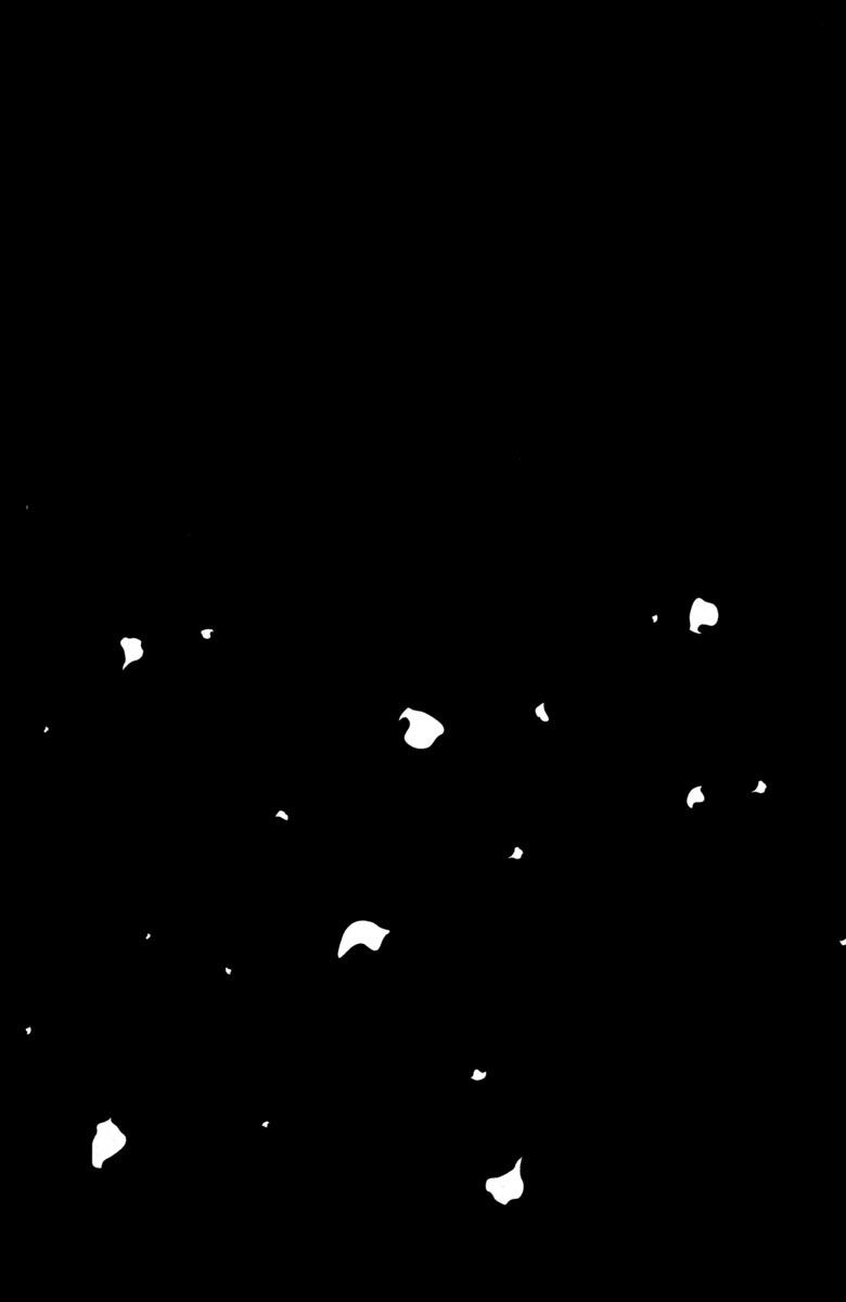 153.jpg