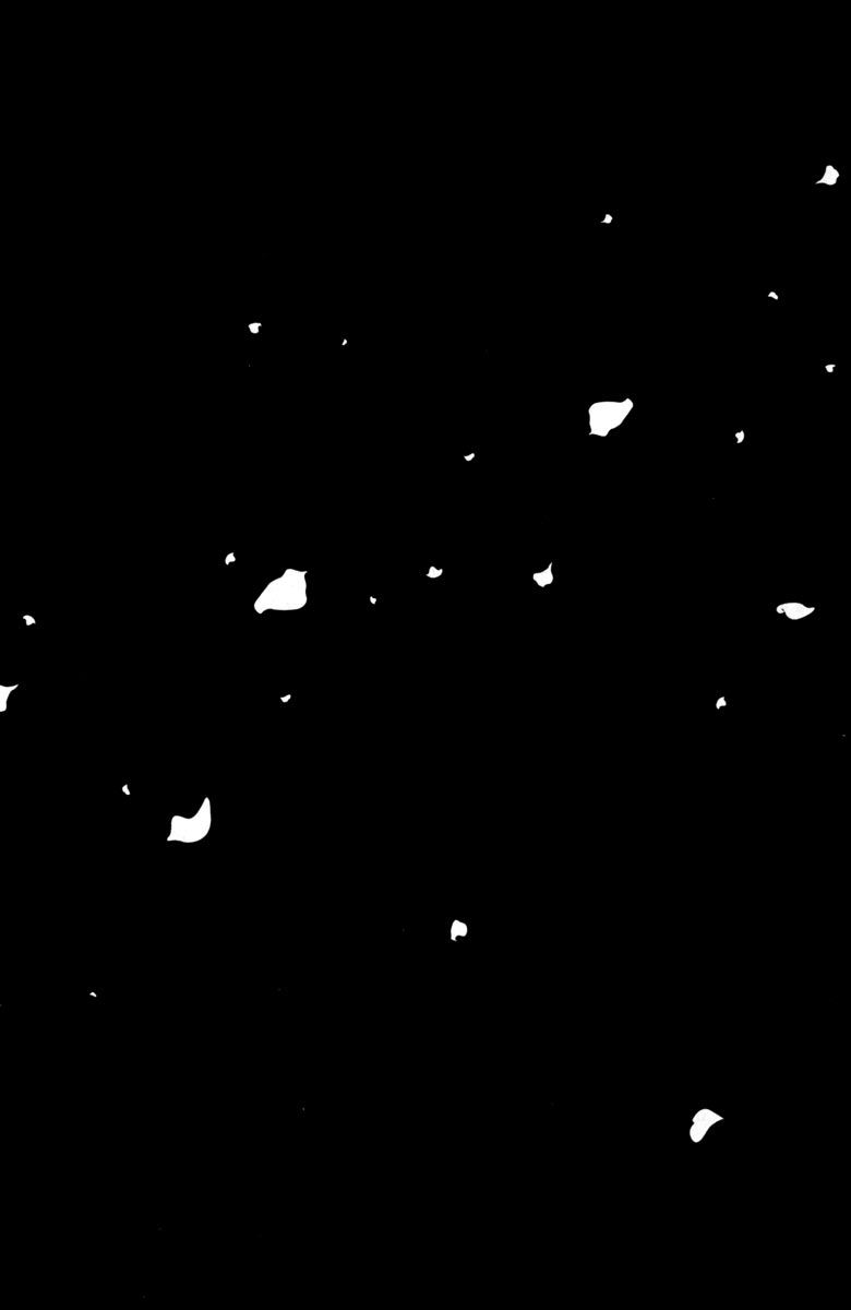 148.jpg