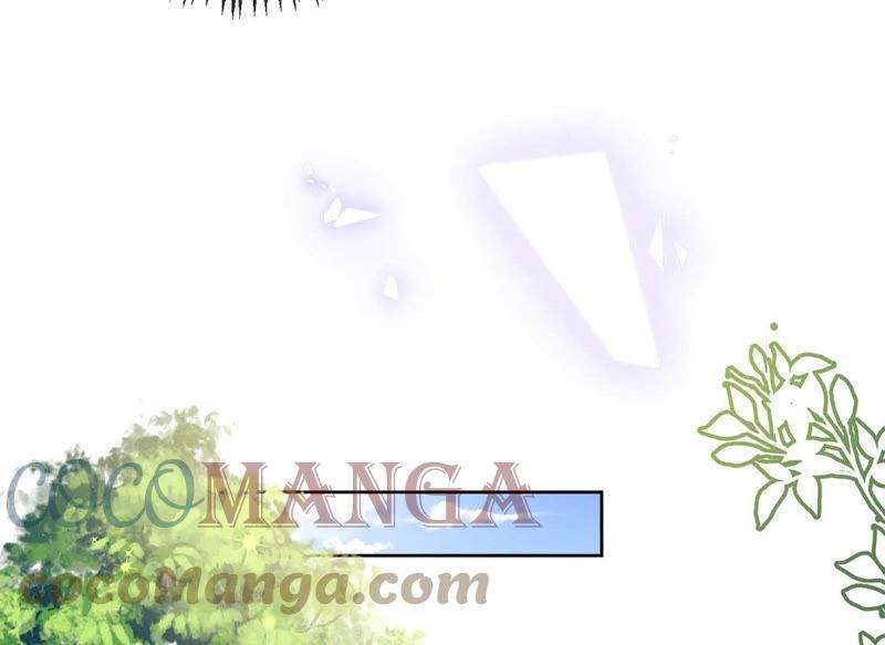 64.jpg