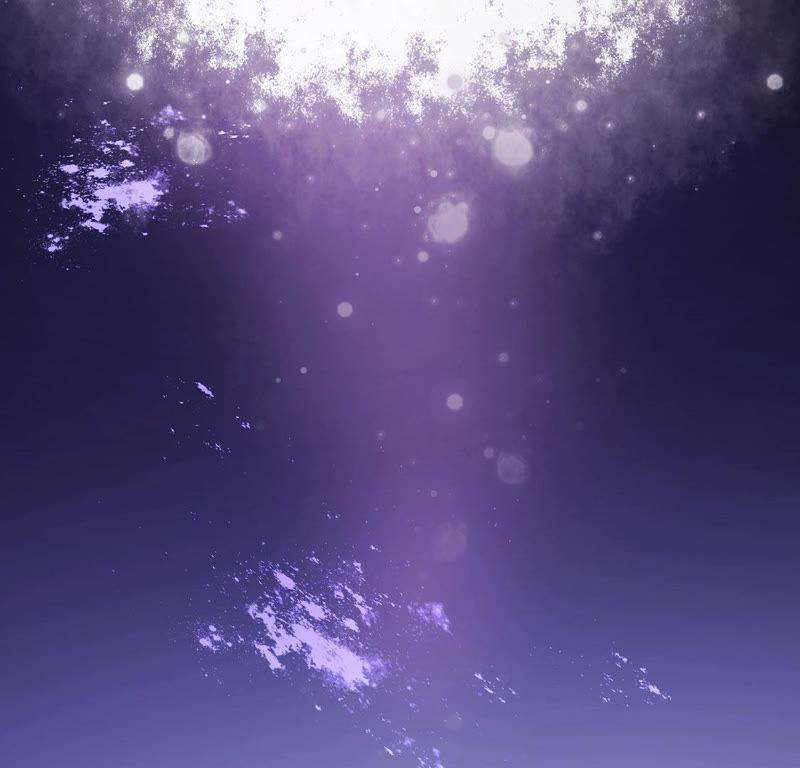 91.jpg