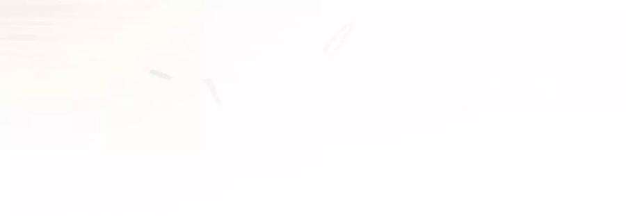 91.jpg