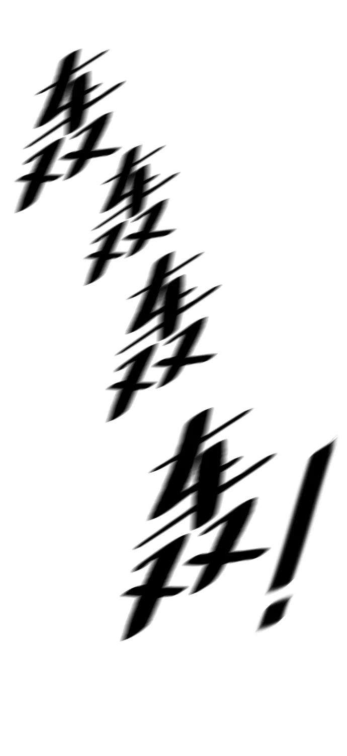 73.jpg
