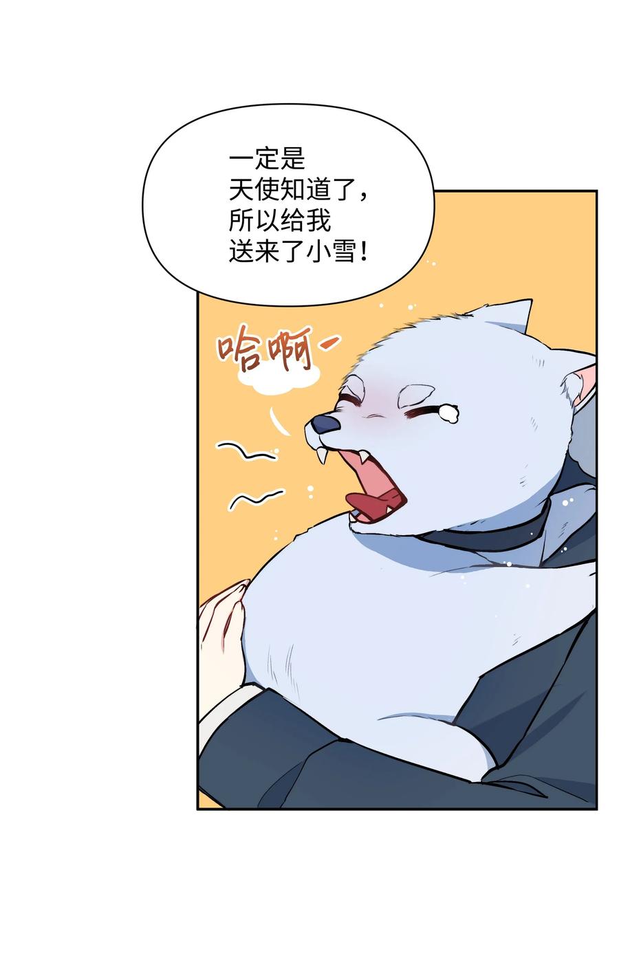 41.jpg