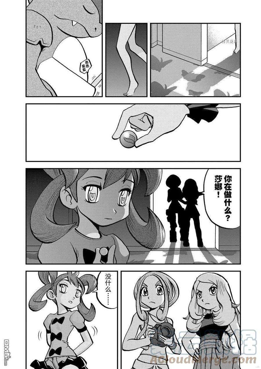 15.jpg