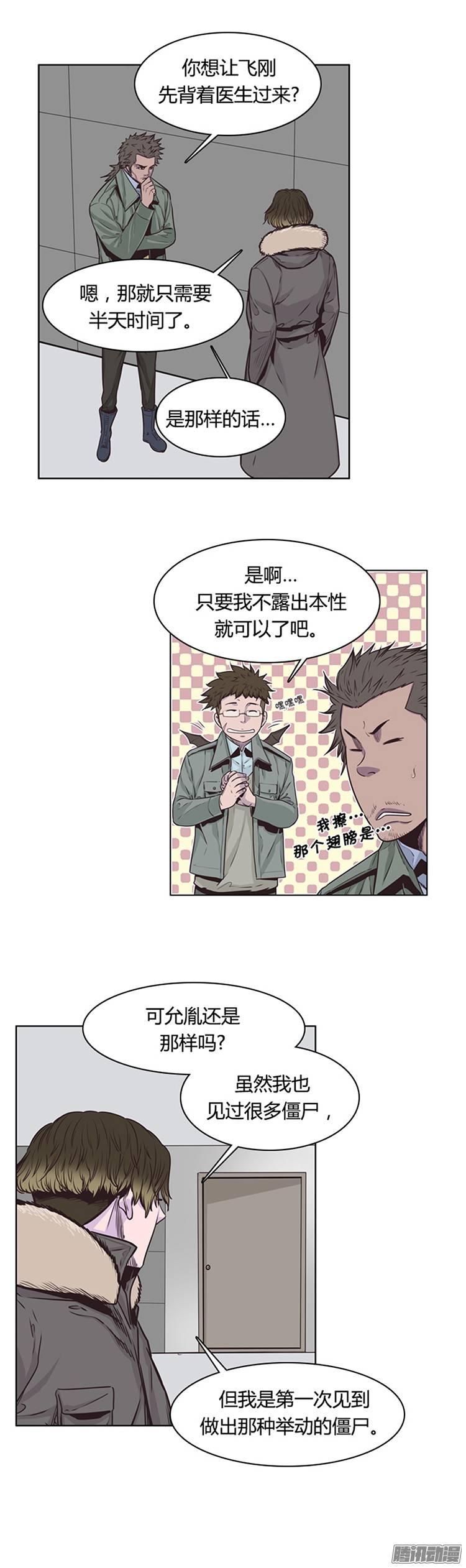 13.jpg