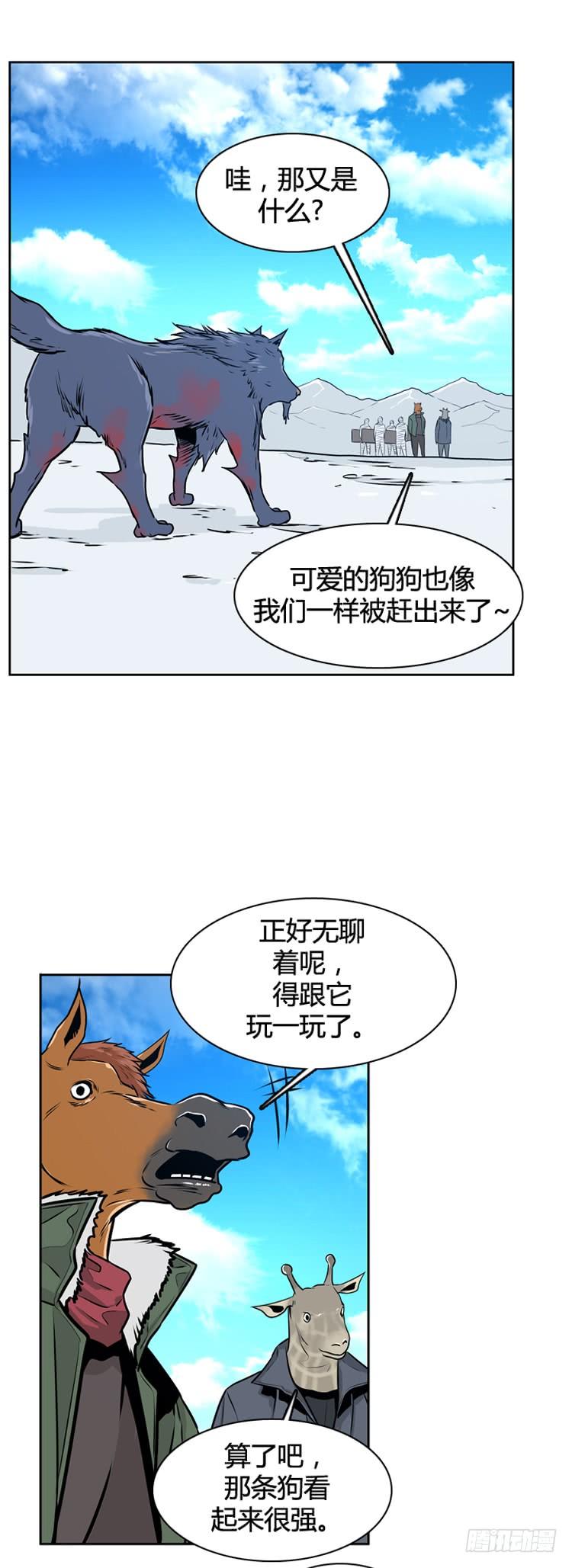 13.jpg