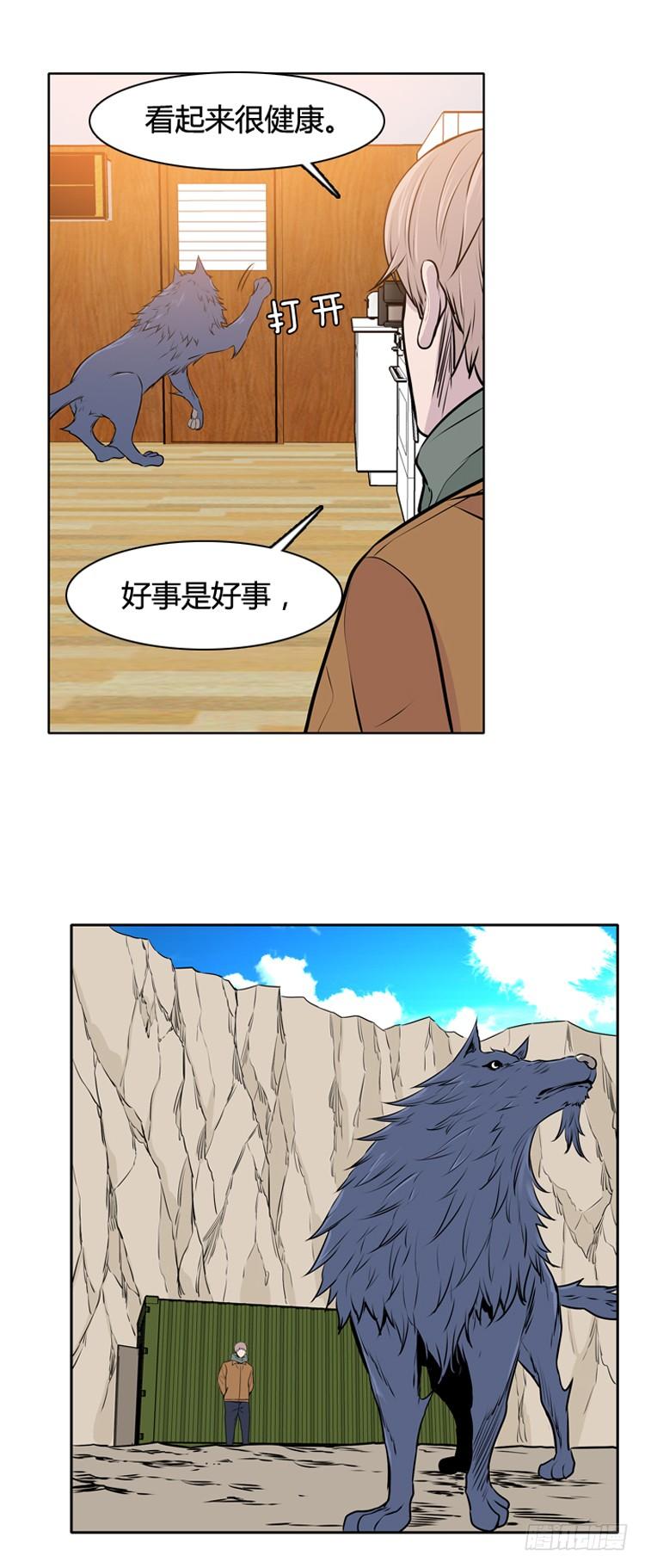 20.jpg