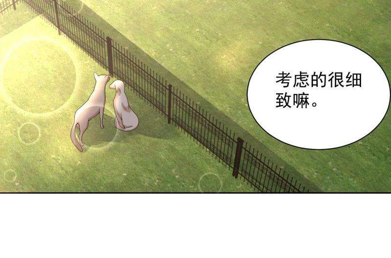45.jpg