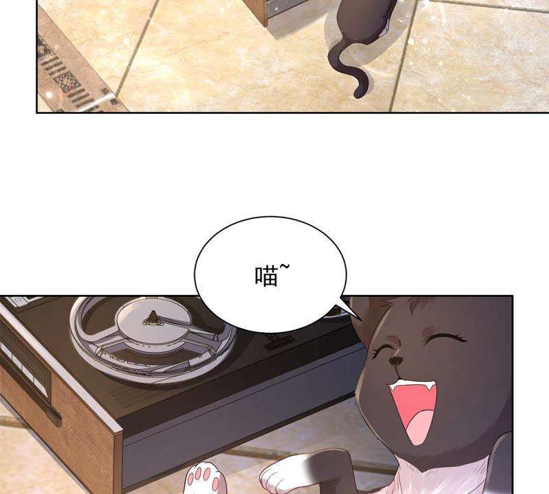 51.jpg