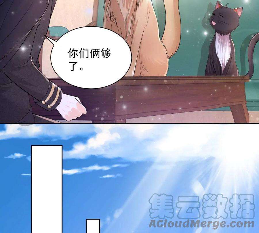 46.jpg