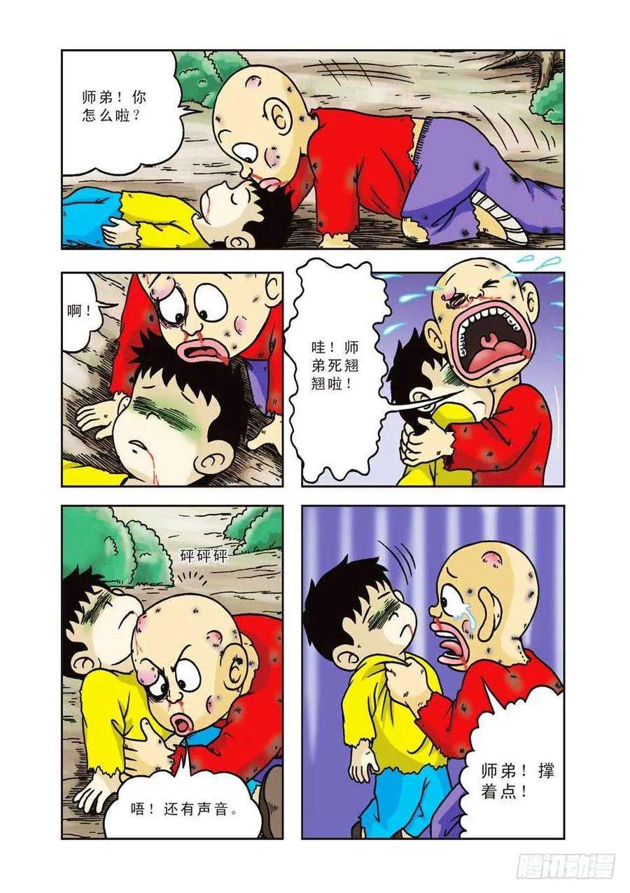 15.jpg