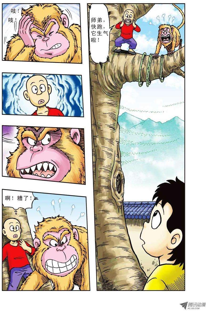 21.jpg