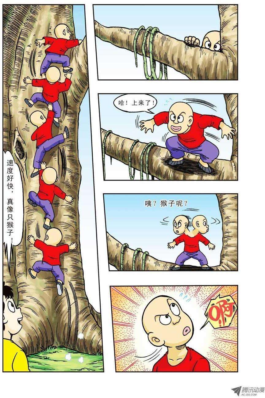 15.jpg