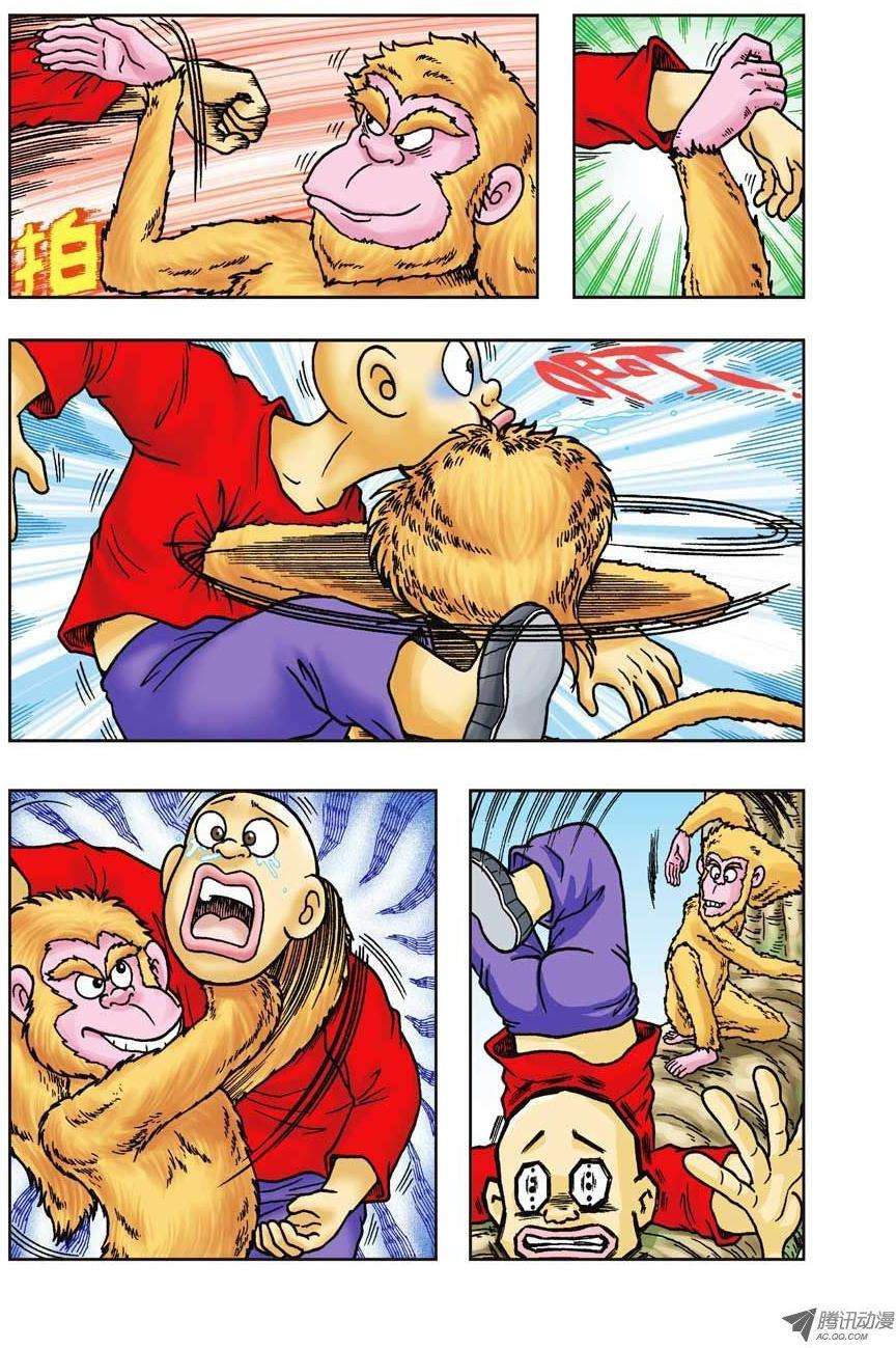 17.jpg