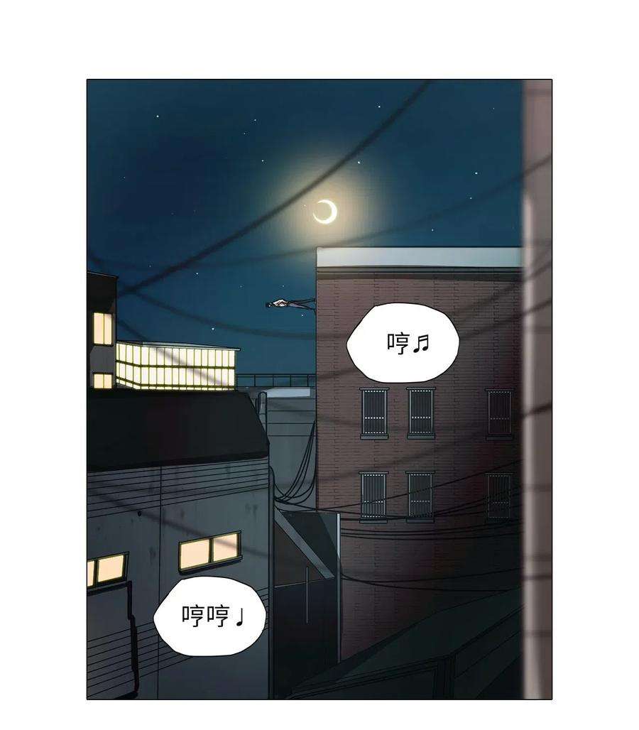 81.jpg