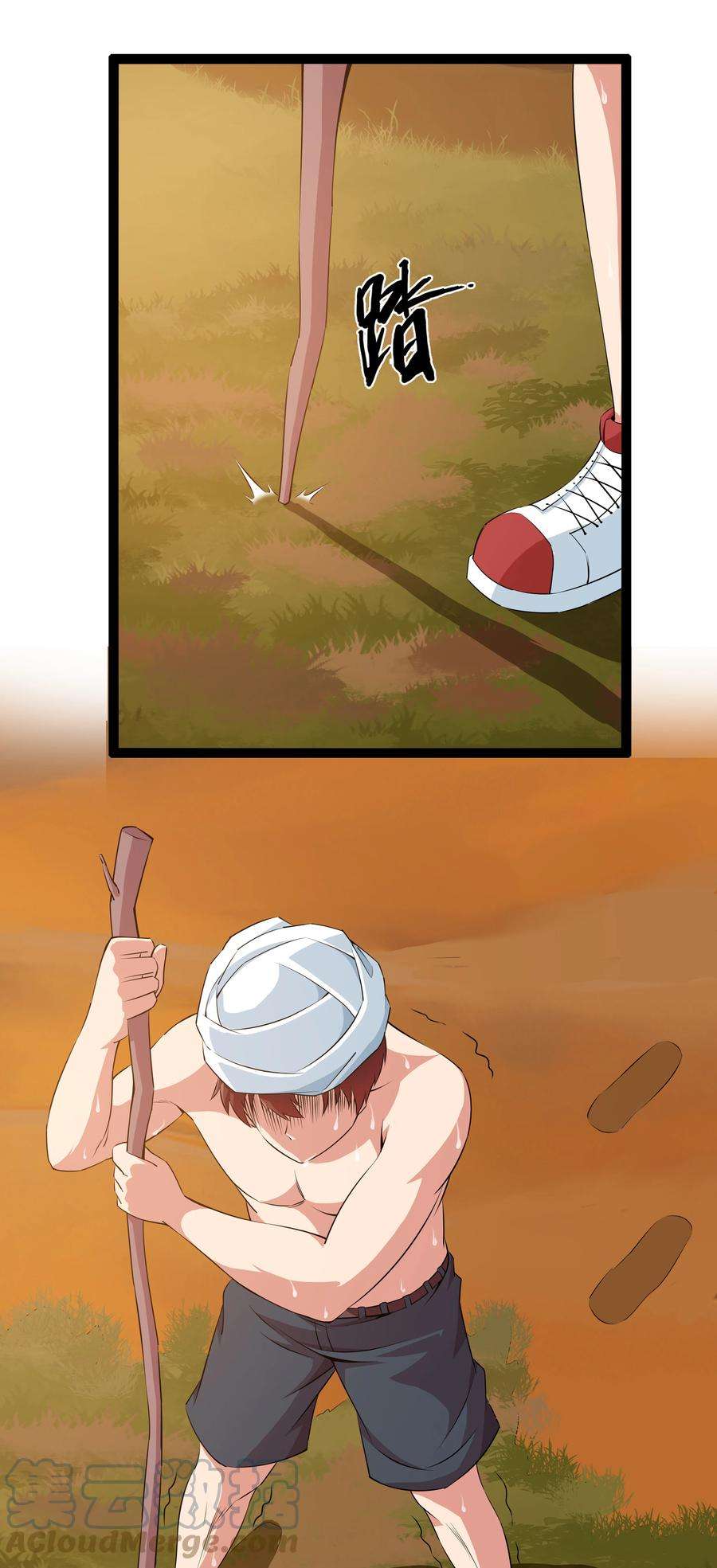 67.jpg