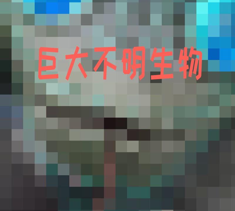 80.jpg