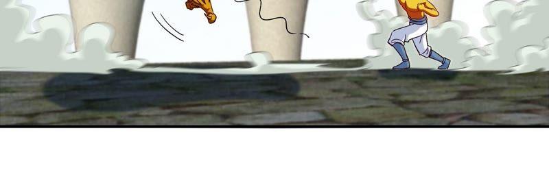 47.jpg