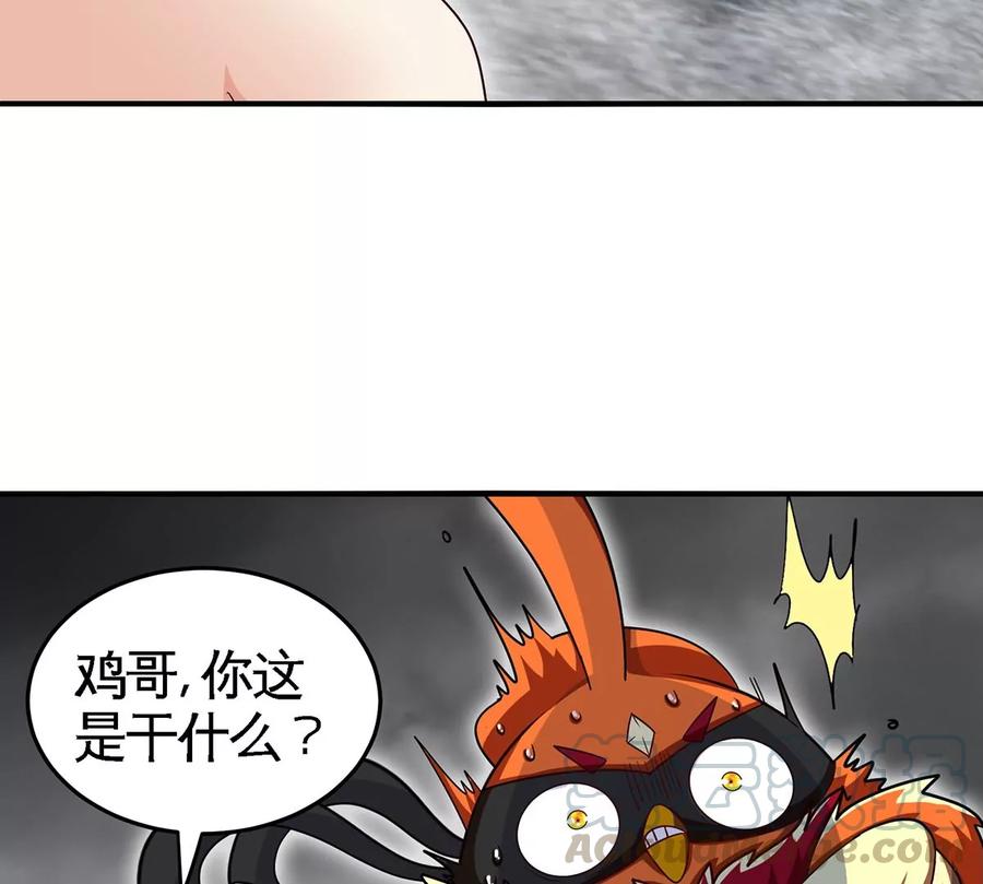 40.jpg