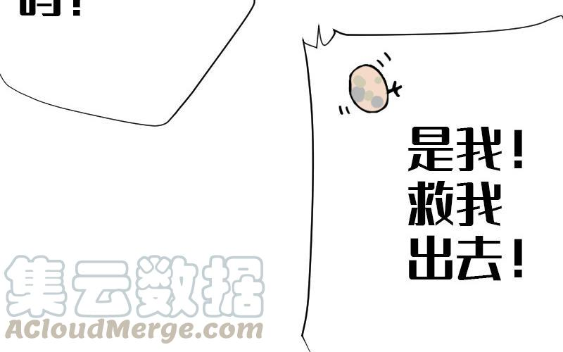 85.jpg