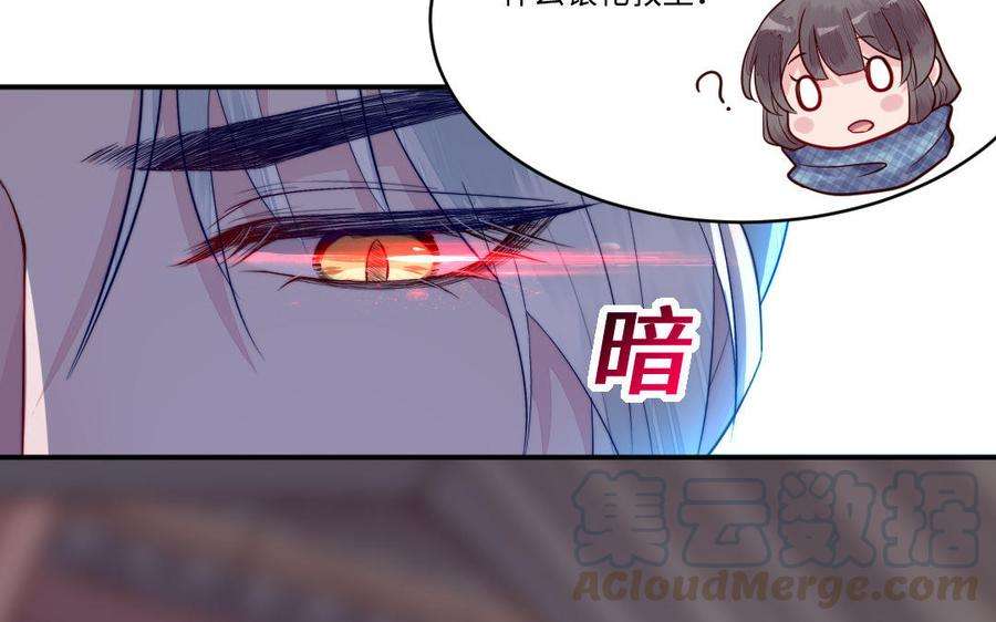 41.jpg