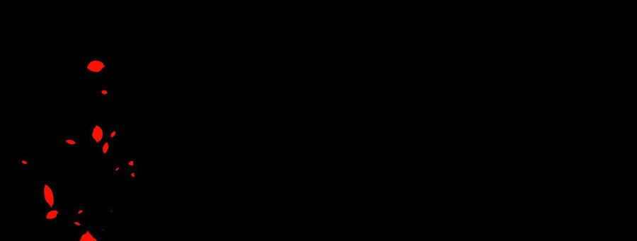 119.jpg