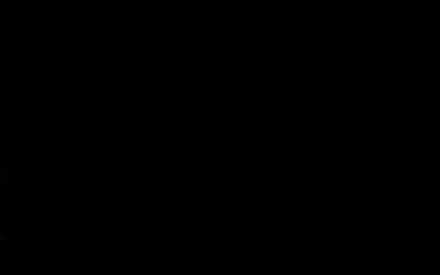 127.jpg