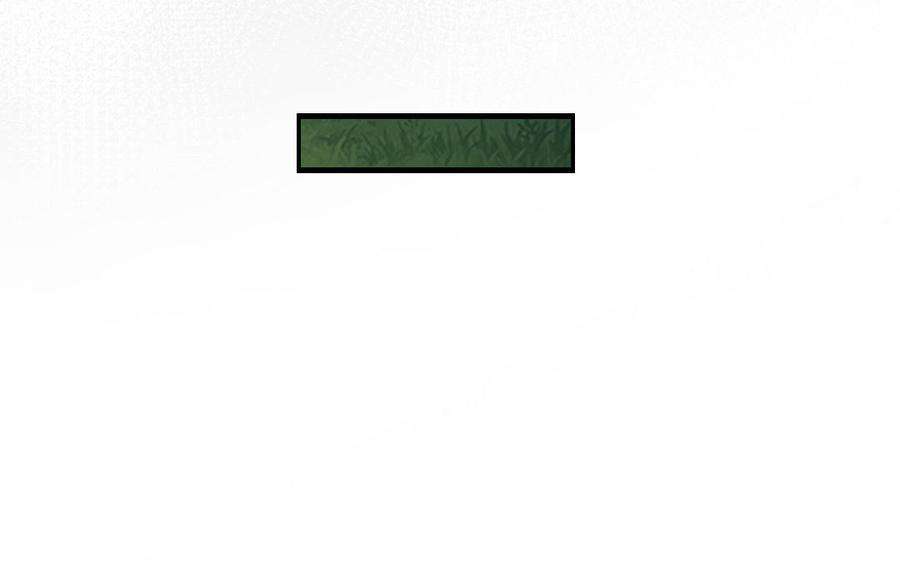 96.jpg