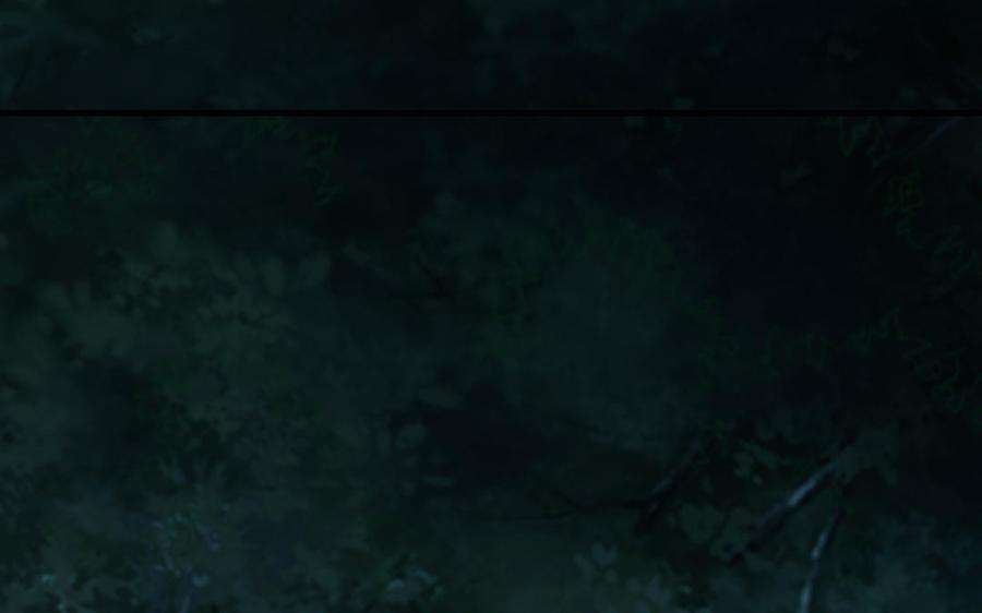 72.jpg