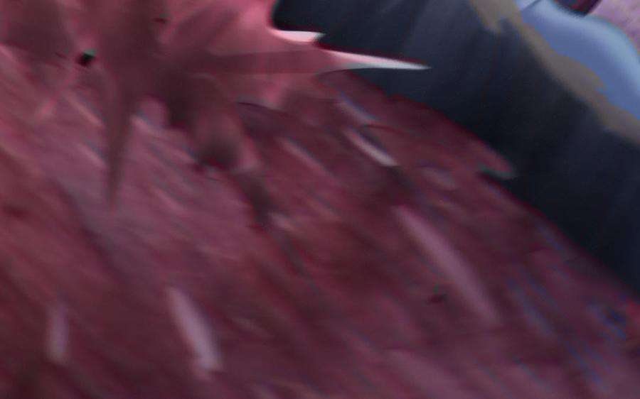 70.jpg