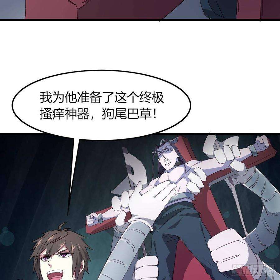 41.jpg