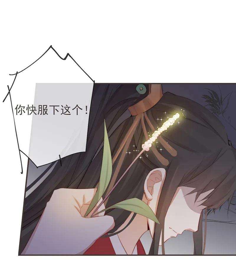 27.jpg