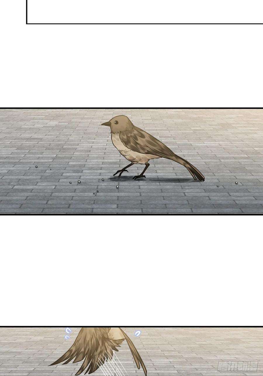 39.jpg