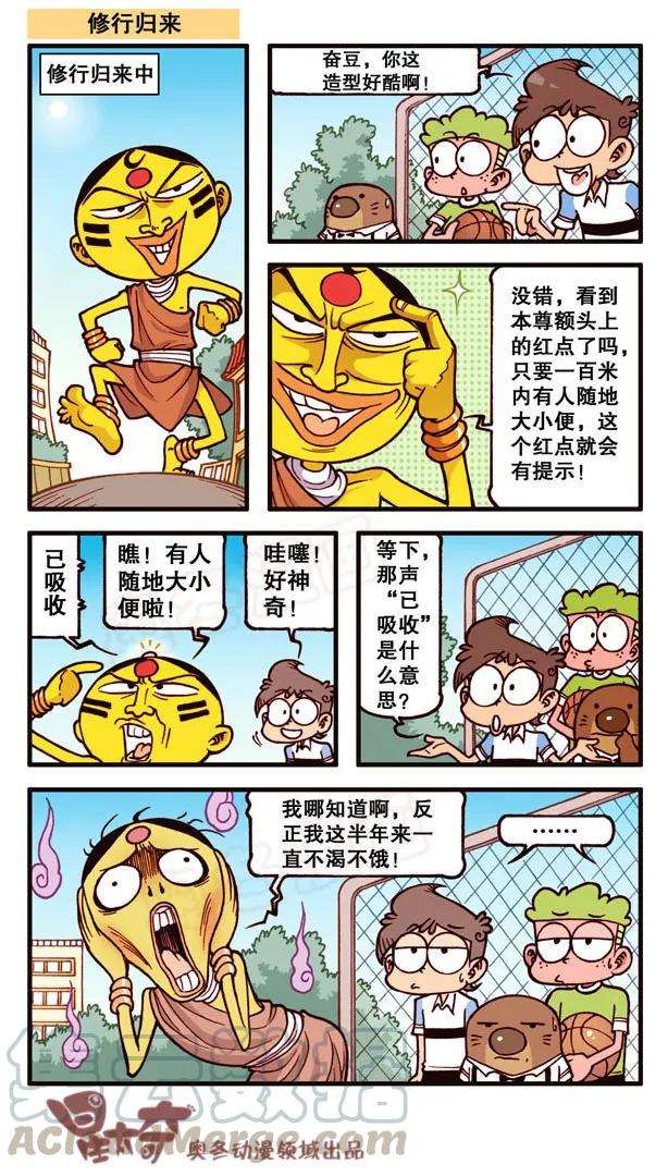 16.jpg