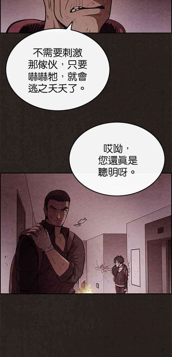 62.jpg