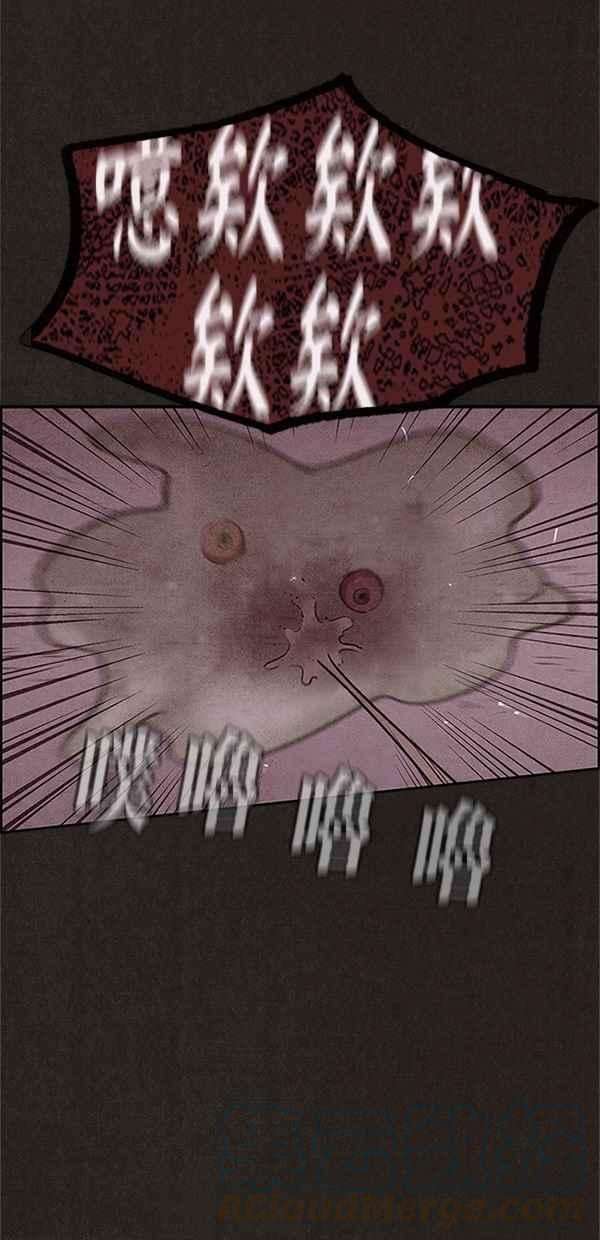 58.jpg