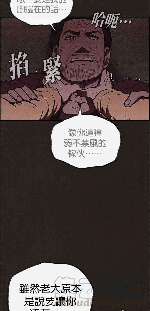 85.jpg