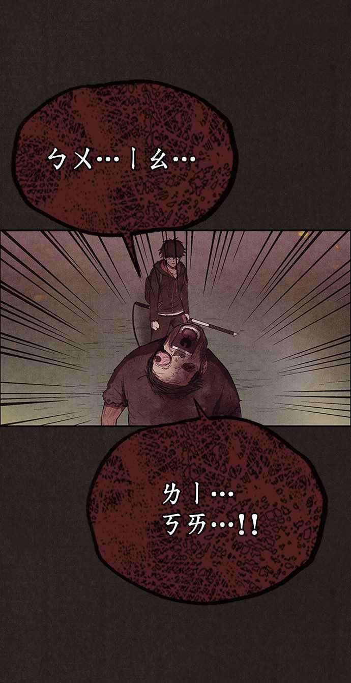 41.jpg