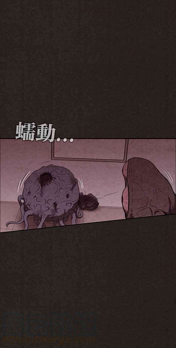55.jpg