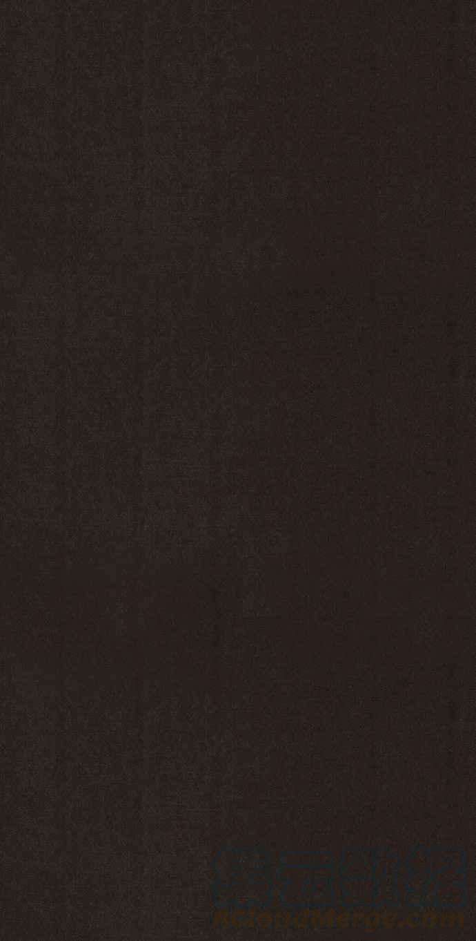 113.jpg
