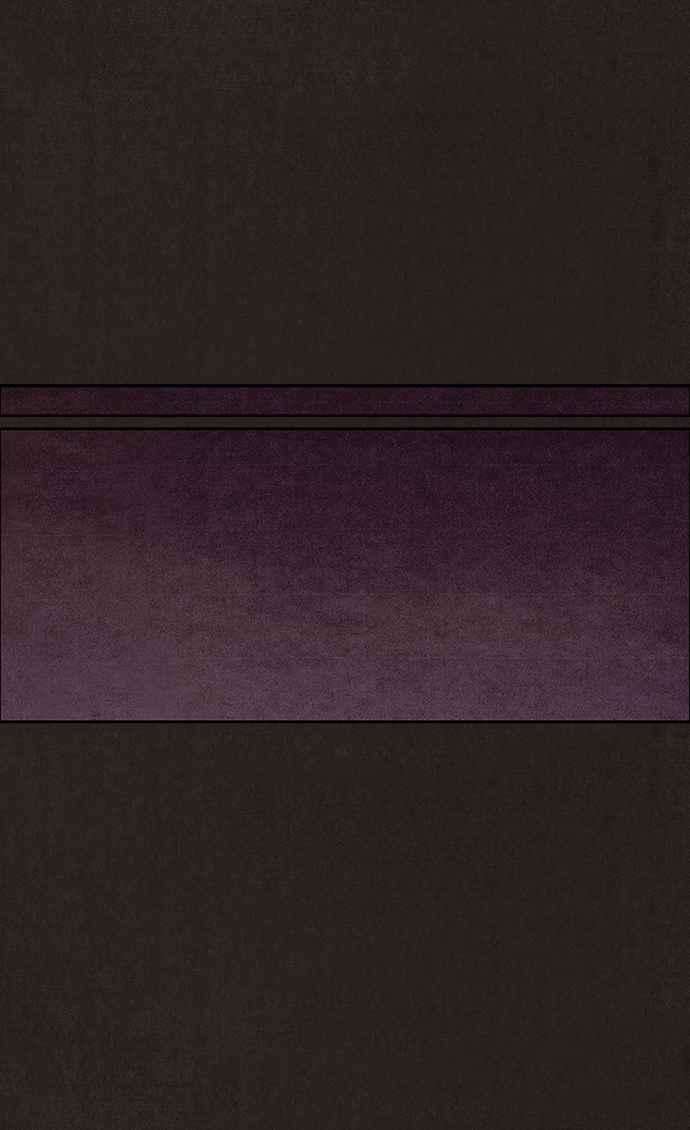 82.jpg