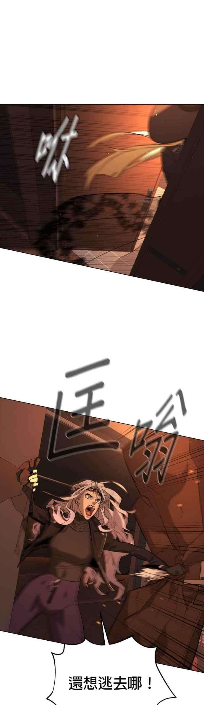 41.jpg