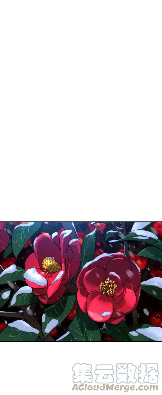 70.jpg