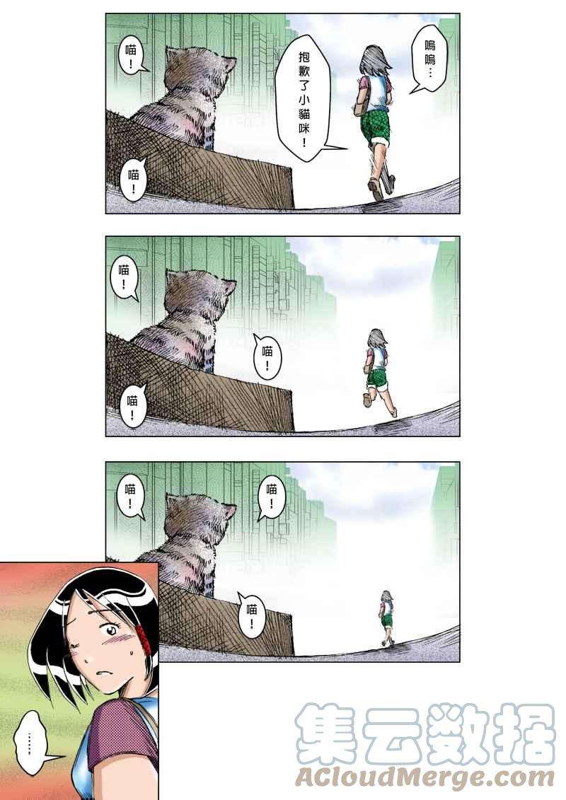 5.jpg