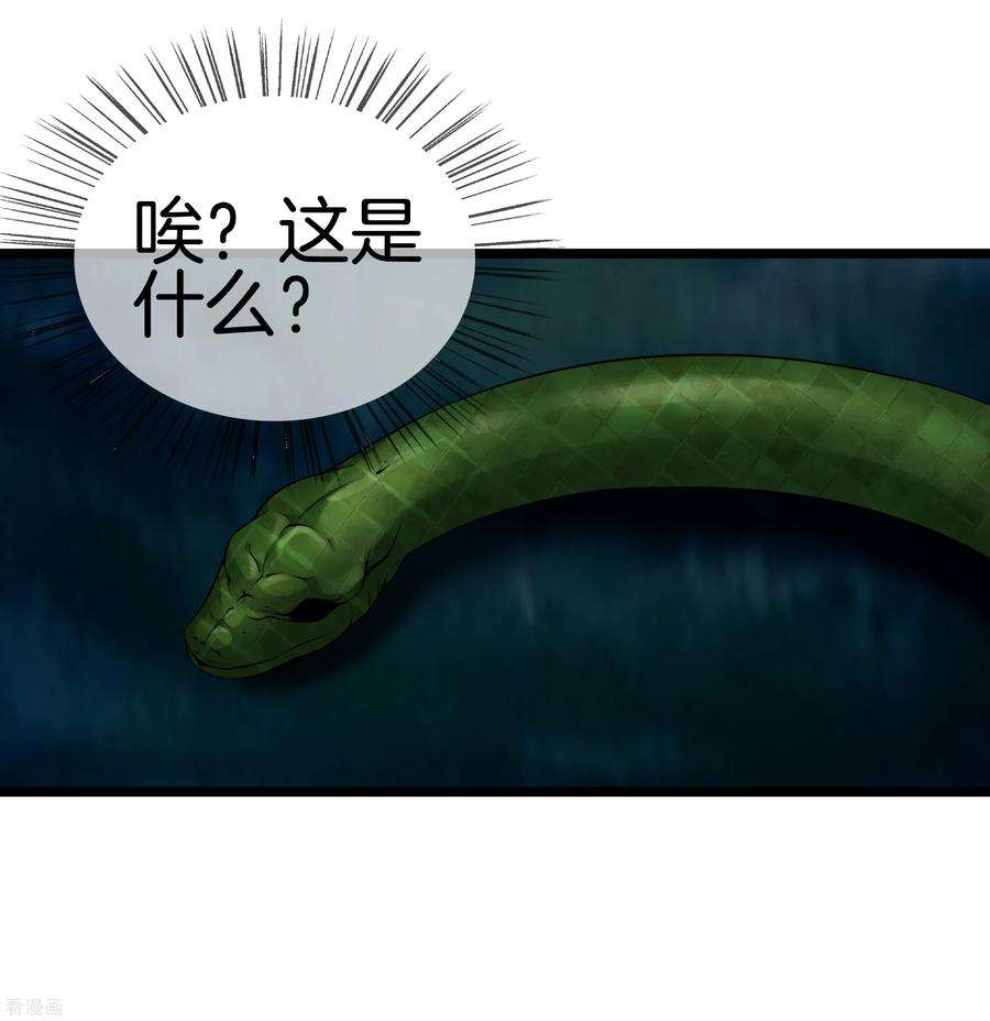 25.jpg