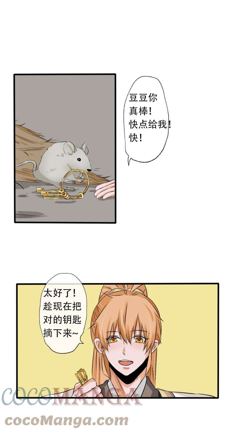 19.jpg