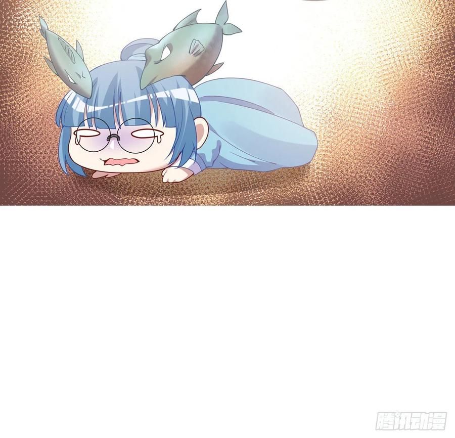 41.jpg