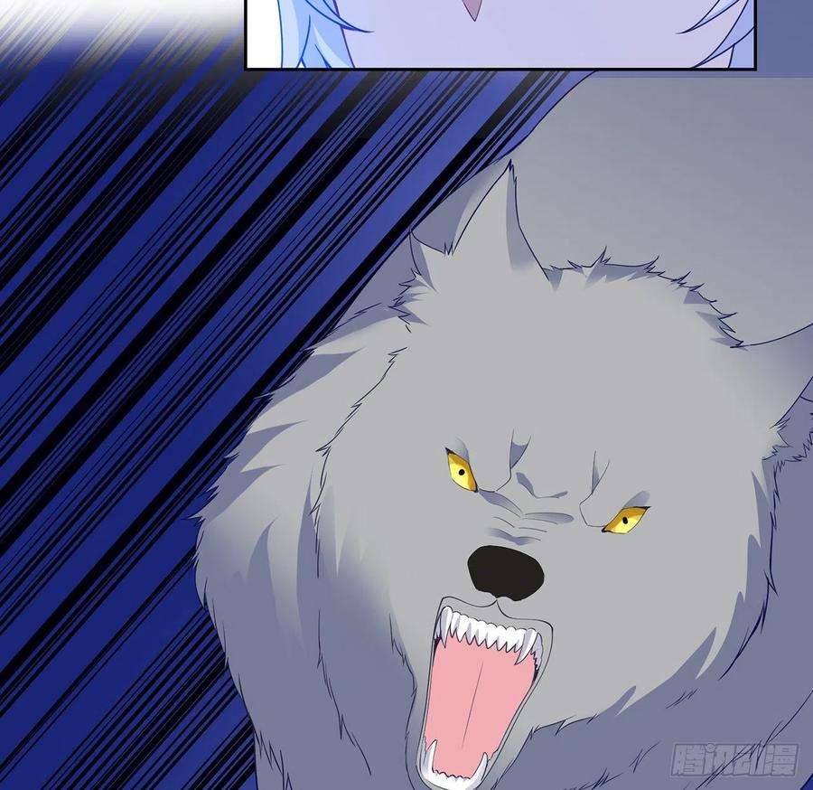51.jpg